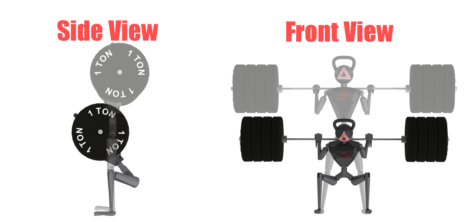 Barbell Back Squat (Regular Stance)